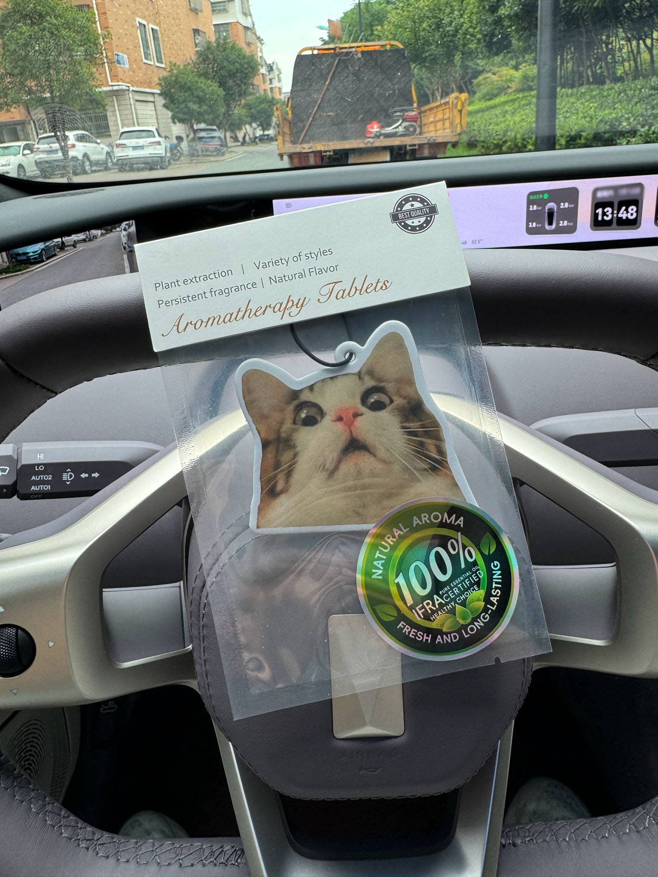 Verrast en geschokt kat meme a - Home Fragrance Luxury recensie en prijs
