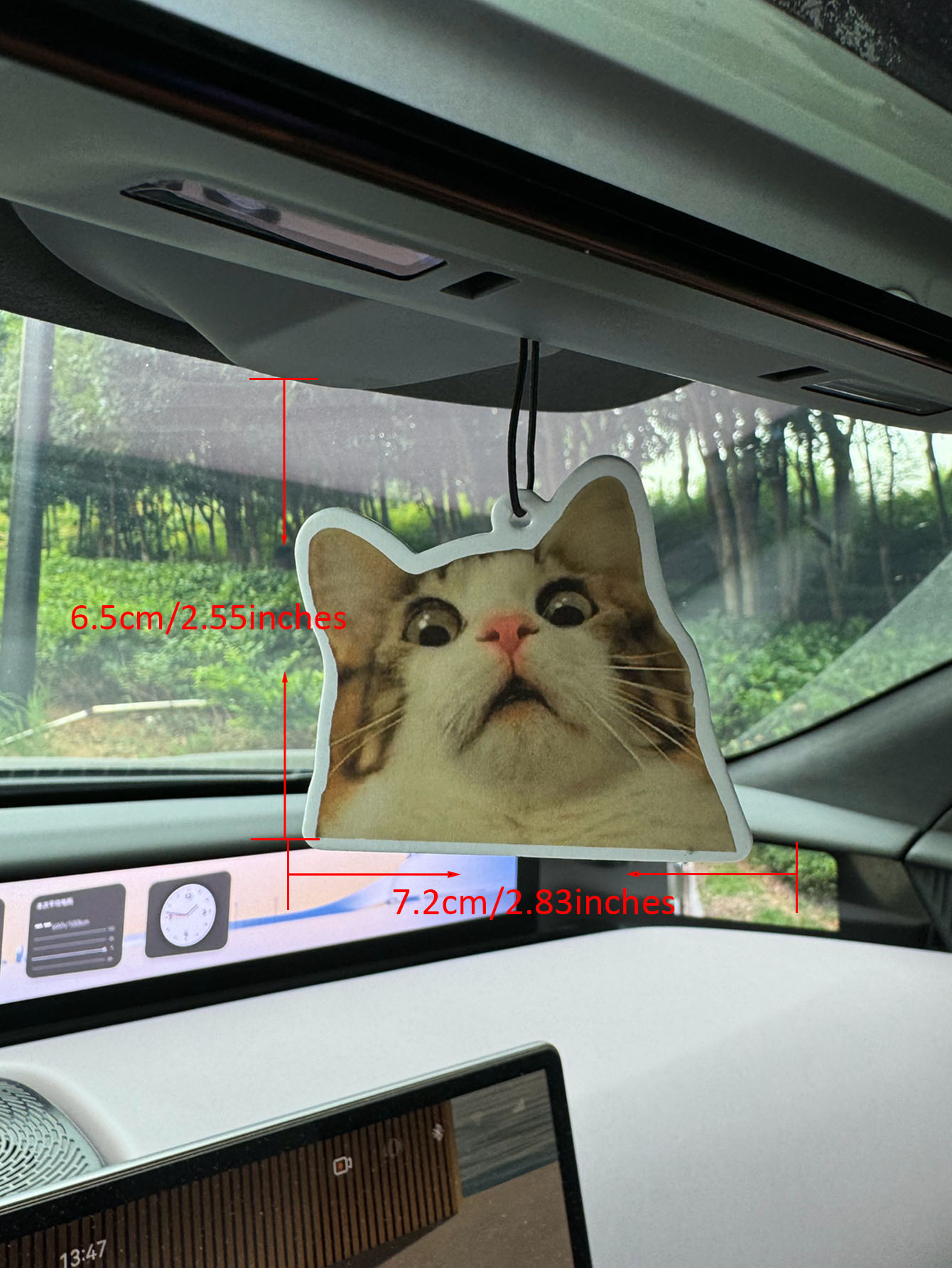 Verrast en geschokt kat meme a - Home Fragrance Luxury recensie en prijs