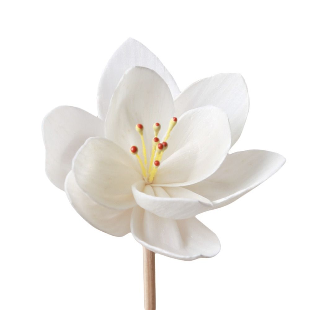 5cm Creatieve Handgemaakte Geu - Home Fragrance Incense recensie en prijs