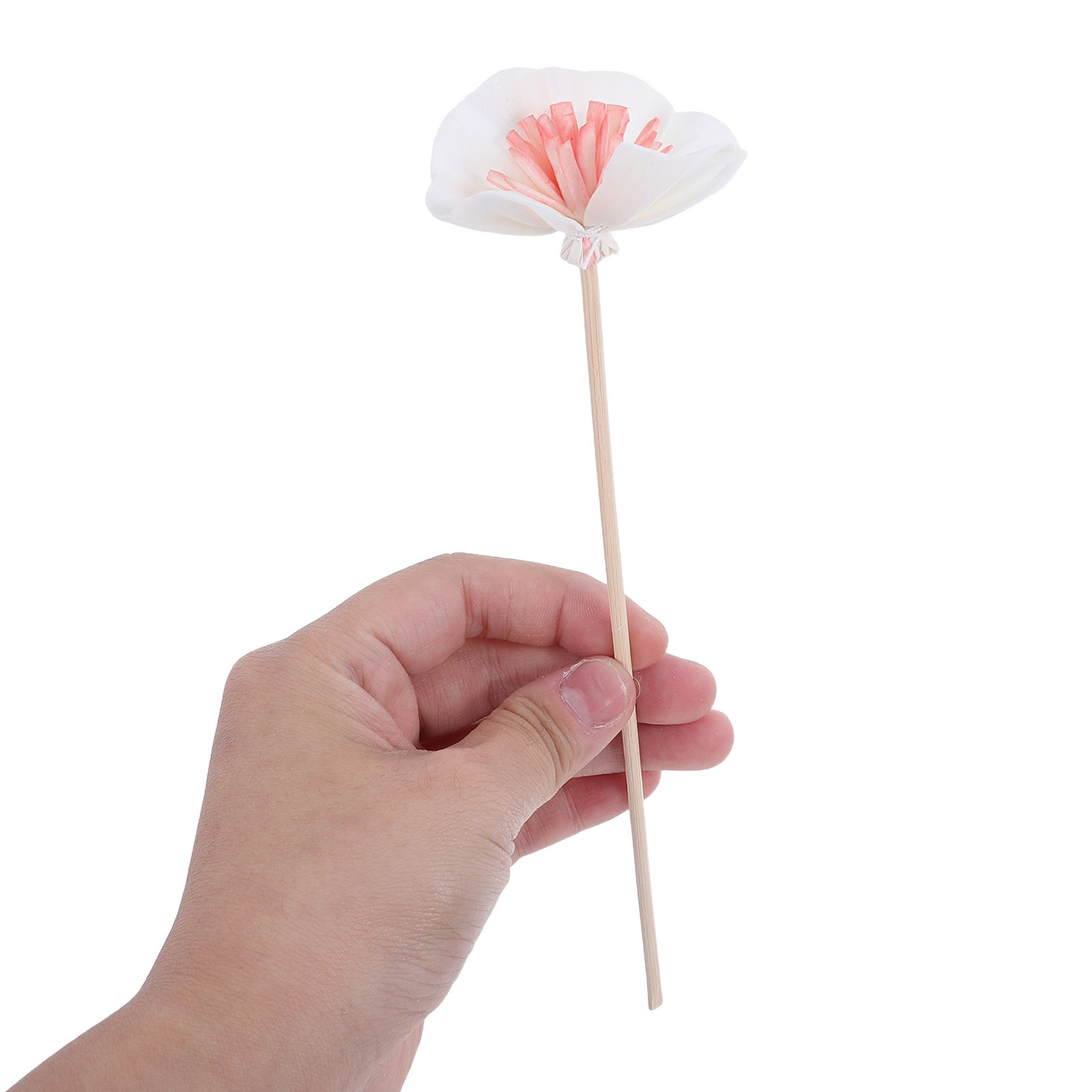 10 stuks zwarte essentiële oli - Home Fragrance With Essential Oils recensie en prijs
