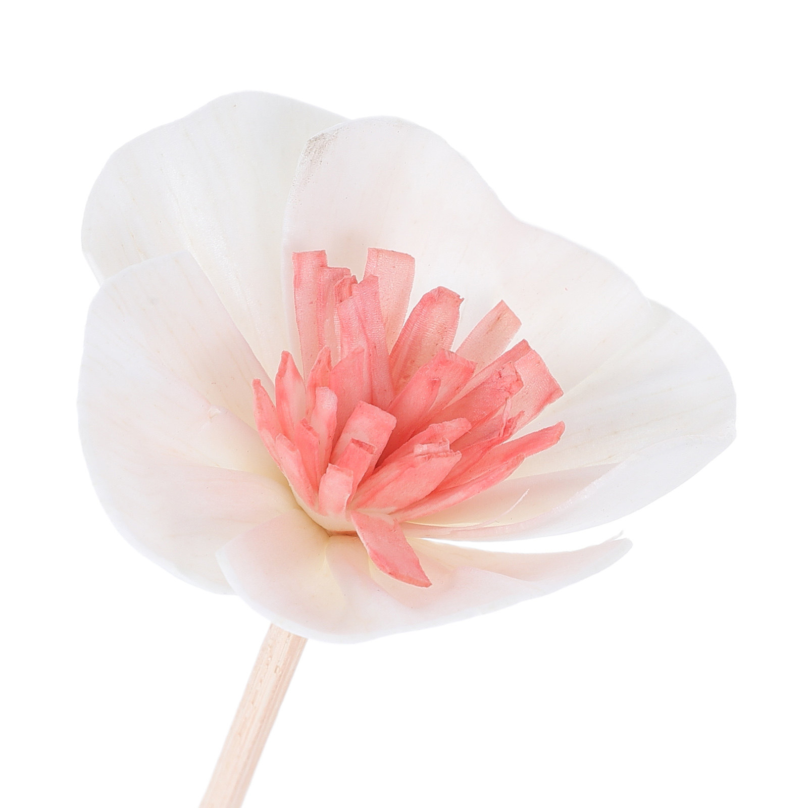 10 stuks zwarte essentiële oli - Home Fragrance With Essential Oils recensie en prijs
