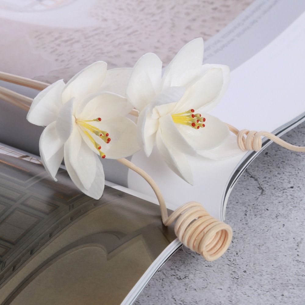 Multifunctionele 5cm natuurlij - Home Fragrance Incense recensie en prijs