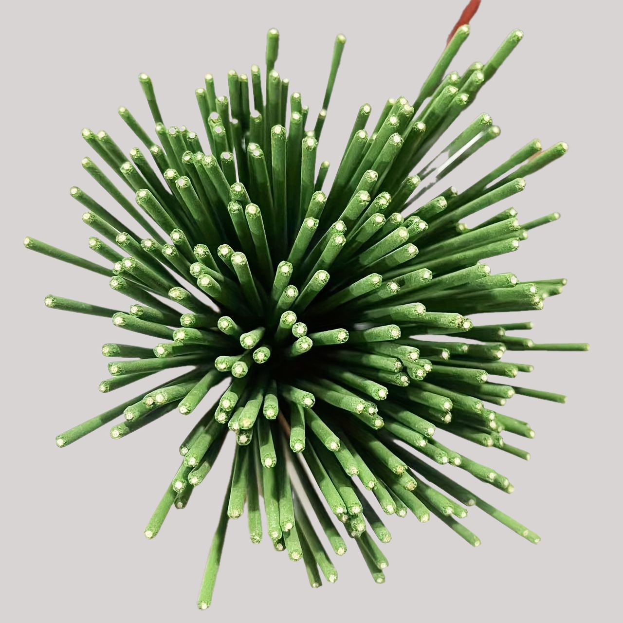 Riet Diffuser Sticks Citroengr - Home Fragrance Best recensie en prijs