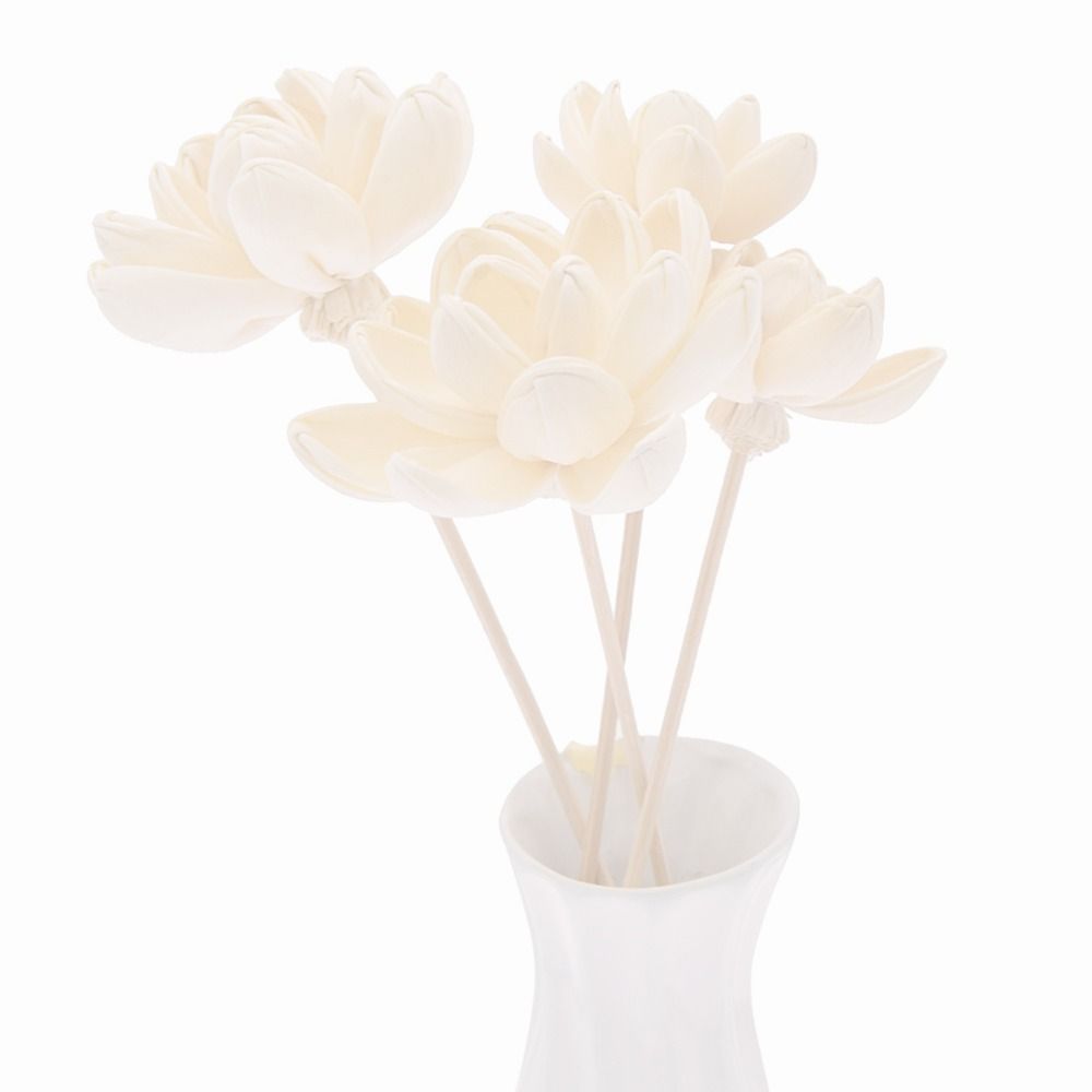Geurstokjes voor thuis, handge - Home Fragrance Incense recensie en prijs